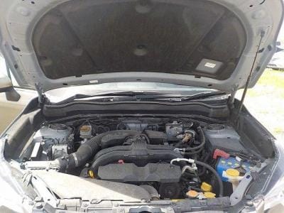 SUBARU FORESTER thumbnail 14